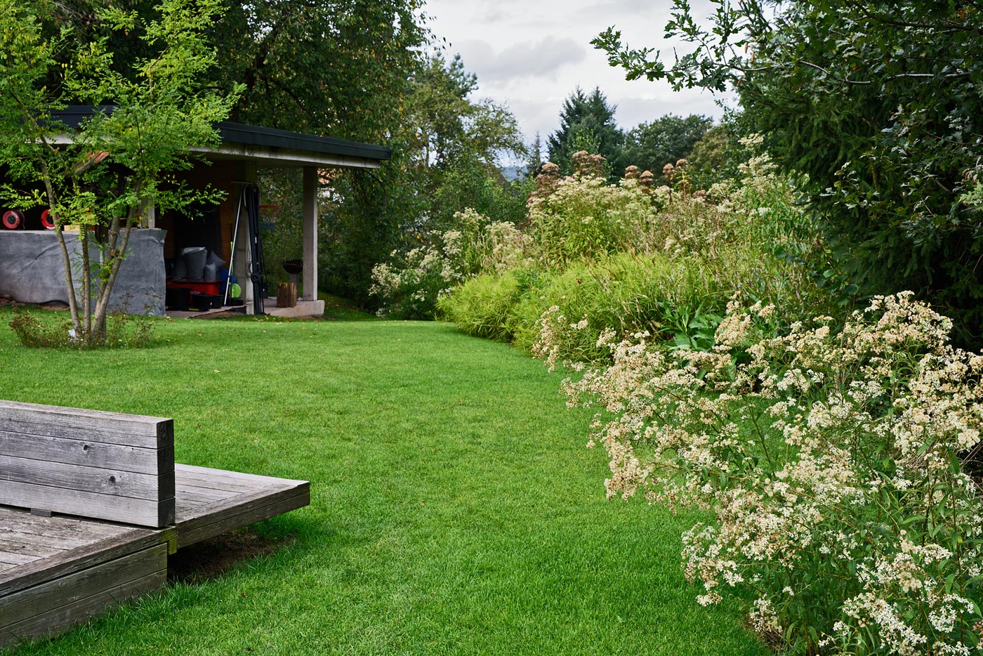Der richtige Zeitpunkt für den Chelsea Cut wird im Rahmen der Gartenberatung erläutert.