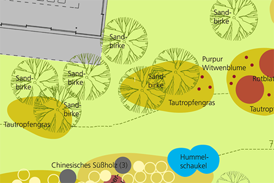 Detail einer Pflanzplanung in Oberbarnim mit Acker-Witwenblume, Mazedonischer Witwenblume und Tautropfengras