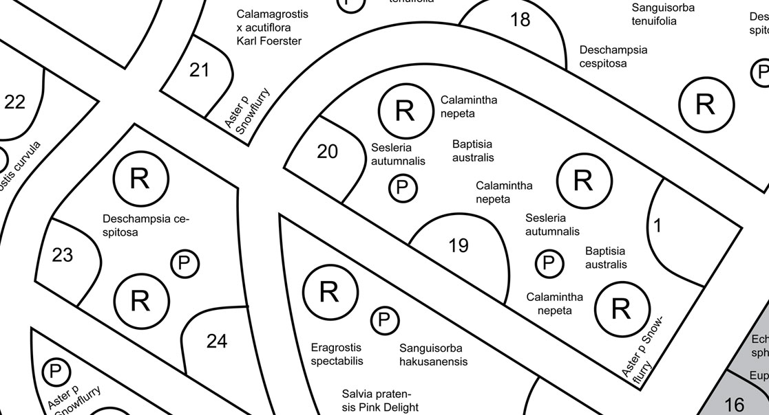 Entwurfsplanung eines parkähnlichen Gartens in Brüggen mit Wegen und Blickachsen entlang von Rosen und Pfingstrosen