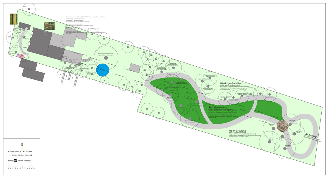 Frühe Entwurfsplanung eines Gartens in Nettetal mit Blickachsen, Wegen und Kombination aus vorhandenem und neuem Gehölzbestand