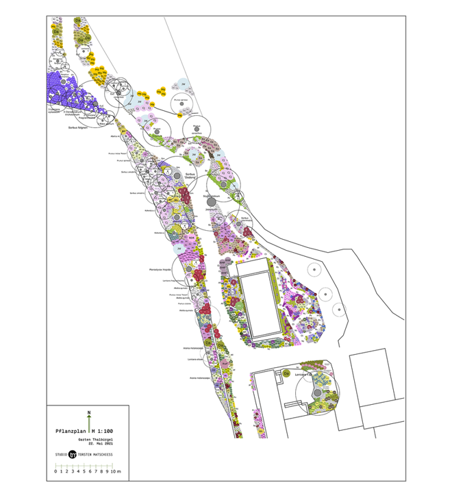 Gartenplan als Grundlage der Umsetzung
