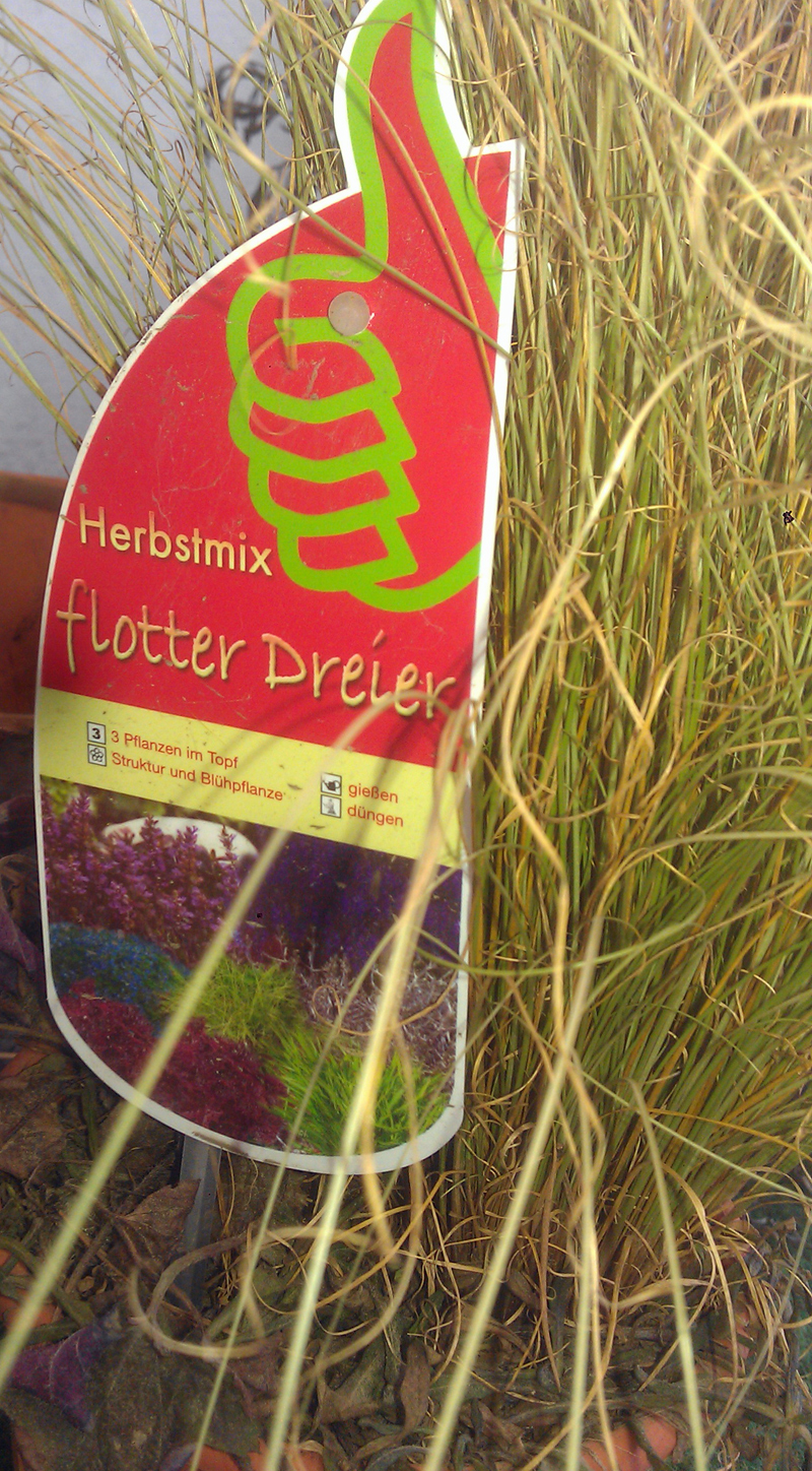 Flotter Dreier - Herbstmix