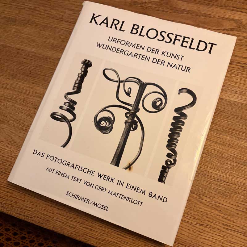 Buchcover Karl Blossfeldt: Urformen der Kunst