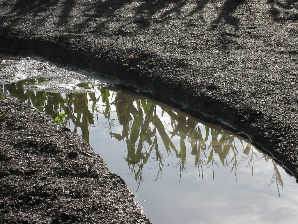 Ausgekofferte Wege, die später mit 
groben Holzhäckseln aufgefüllt wurden. 
Auf diesem Wege kann Wasser bei 
Starkregenereignissen  von den höher 
gelegenen Beeten abfließen.