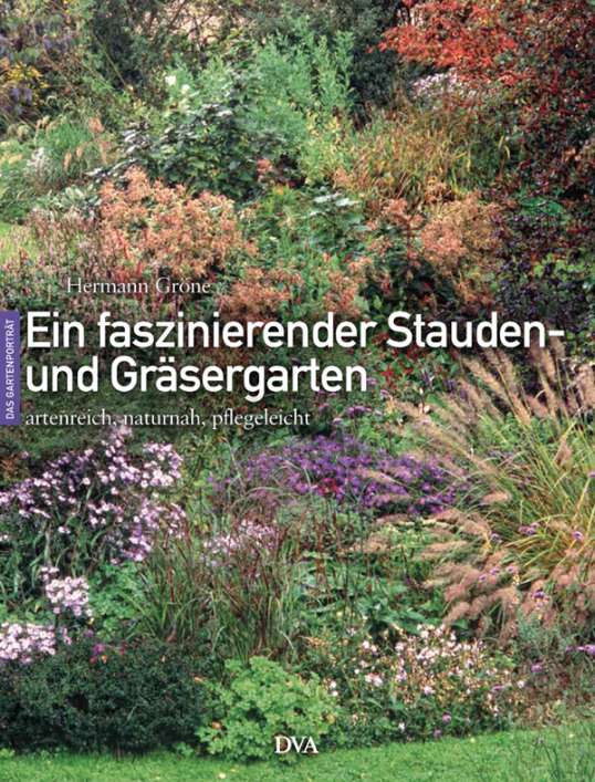 Ein faszinierender Stauden- und Gräsergarten von Hermann Gröne