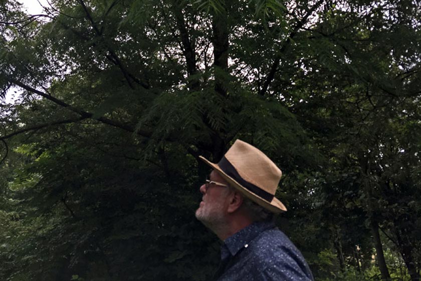 Inspektion des vorhandenen Baumbestands in einem Bestandsgarten als Grundlage für eine behutsame Weiterentwicklung