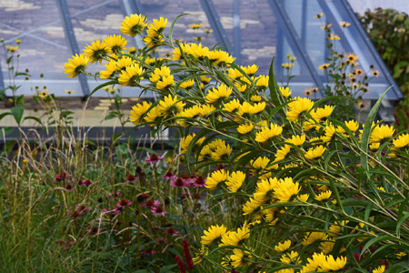 Impression einer Gartengestaltung