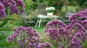 Impression einer Gartengestaltung