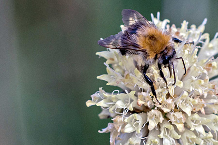 Impression einer Gartengestaltung
