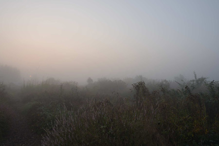 Impression einer Gartengestaltung