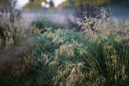 Impression einer Gartengestaltung