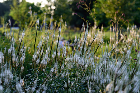 Impression einer Gartengestaltung