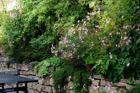 Impression einer Gartengestaltung