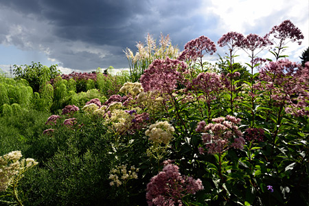 Impression einer Gartengestaltung