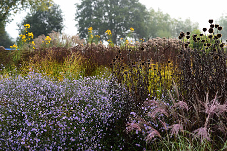 Impression einer Gartengestaltung