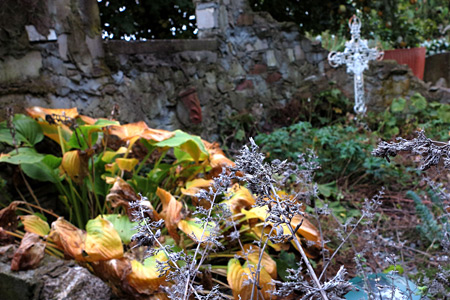 Impression einer Gartengestaltung