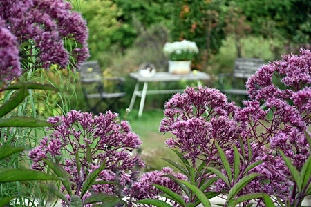 Impression einer Gartengestaltung