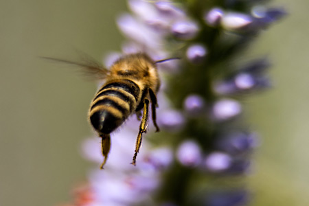 Impression einer Gartengestaltung