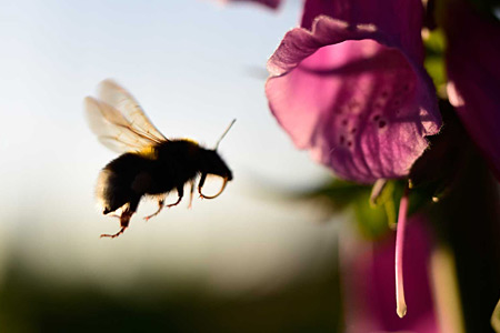 Impression einer Gartengestaltung