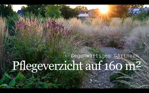 Vortrag von Torsten Matschiess über den Verzicht von Pflege