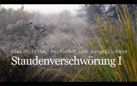 Vortrag von Torsten Matschiess über die große Staudenverschwörung