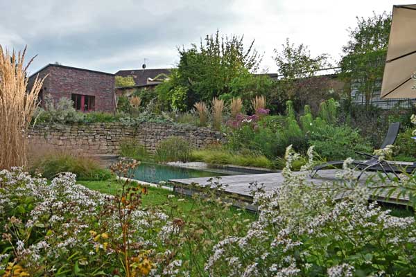 Über die Weiße Wald-Aster hinweg rückt das Garten-Reitgras oberhalb der Trockenmauer am Pool in den Vordergrund.