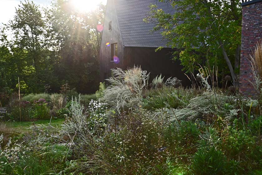 Der Blick hinab zum Haus entlang Absinth und Garten-Reitgras. 