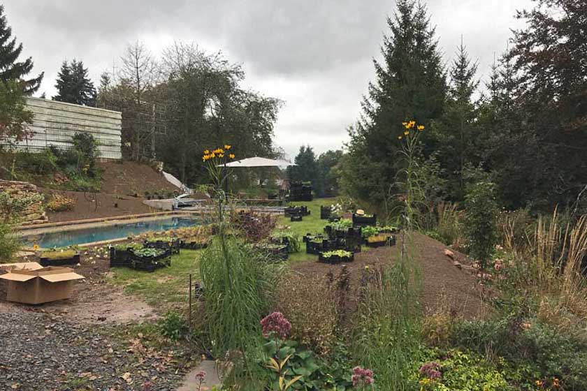 Aufstellung der Transportboxen mit den Staudencontainern.