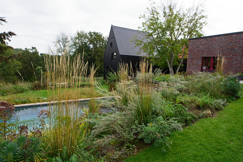 Das Garten-Rohrgras zeigt Präsenz.