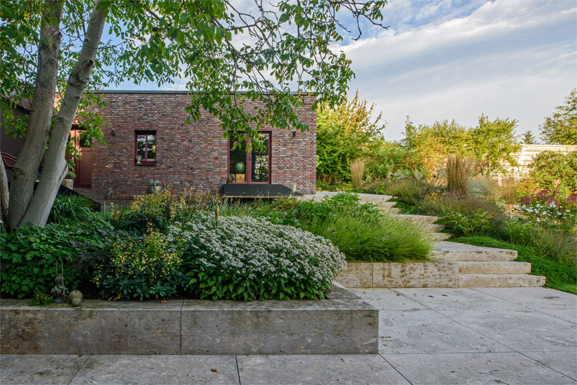 Das Schattenbeet im Innenhof unter einer mehrstämmigen Walnuss lebt auch von der Kombination der Texturen: Epimedium grandiflorum, Euphorbia amygdaloides subsp. robbiae und Eurybia divaricata.