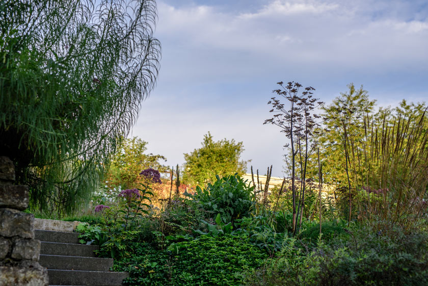 Der Gartenaufgang, gesäumt von Hippie-Blumen, Meisterwurz, Rostfarbenem Fingerhut und Röhrigem Wasserdost.