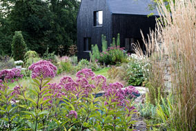 Pflanzplanung im Einklang mit der Architektur, Gartenansicht mit ausgewählten Stauden und Gräsern