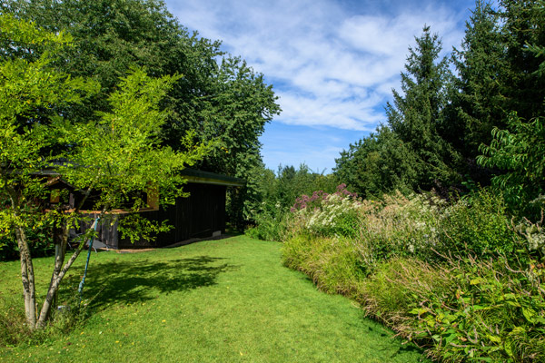 Der Blick zum Tal entlang der langen Rabatte - links der Geweihbaum (<em>Gymnocladus dioicus</em>), rechts Kerzenknöterich, Alpen-Johannisbeere und Röhriger Wasserdost