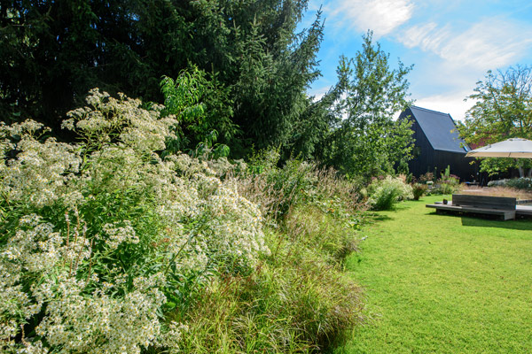 Der Blick hinauf zum Haus entlang der langen Rabatte mit hohen Wildastern und Palmwedel-Segge