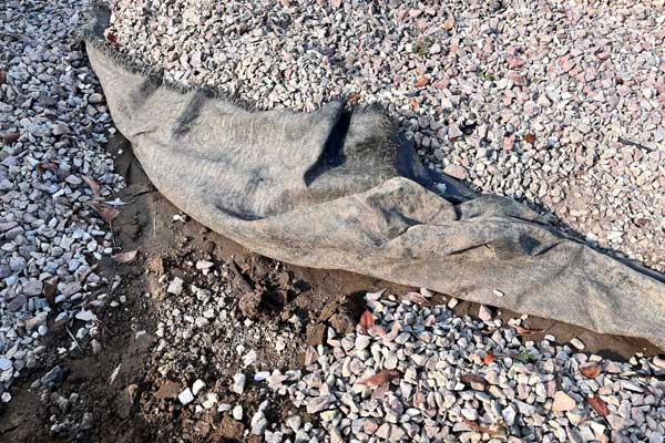 Die Folie verbarg erstaunlich lebendigen Mutterboden – bestens geeignet für Kohlrabi, Zwiebeln, Spinat oder eine naturalistische Staudenpflanzung.