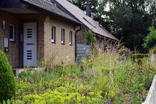 Die Stauden haben sich auf dem mit Bodenaktivator verbesserten Boden sehr gut etabliert und entwickeln sich auch ohne zusätzliche Bewässerung hervorragend.