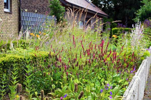 Die Folie muss vollständig entfernt werden, da sie durch Bodenbewegungen zunehmend zerfällt. Am Ende bleibt Mikroplastik zurück, das ins Trinkwasser gelangen kann.