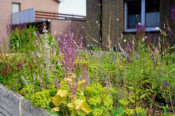 Die Folie muss vollständig entfernt werden, da sie durch Bodenbewegungen zunehmend zerfällt. Am Ende bleibt Mikroplastik zurück, das ins Trinkwasser gelangen kann.