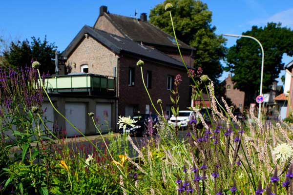 Visualisierung als analoge Animation: Bleistiftzeichnungen der Gartenplanung auf Folie gedruckt,  Märkische Schweiz