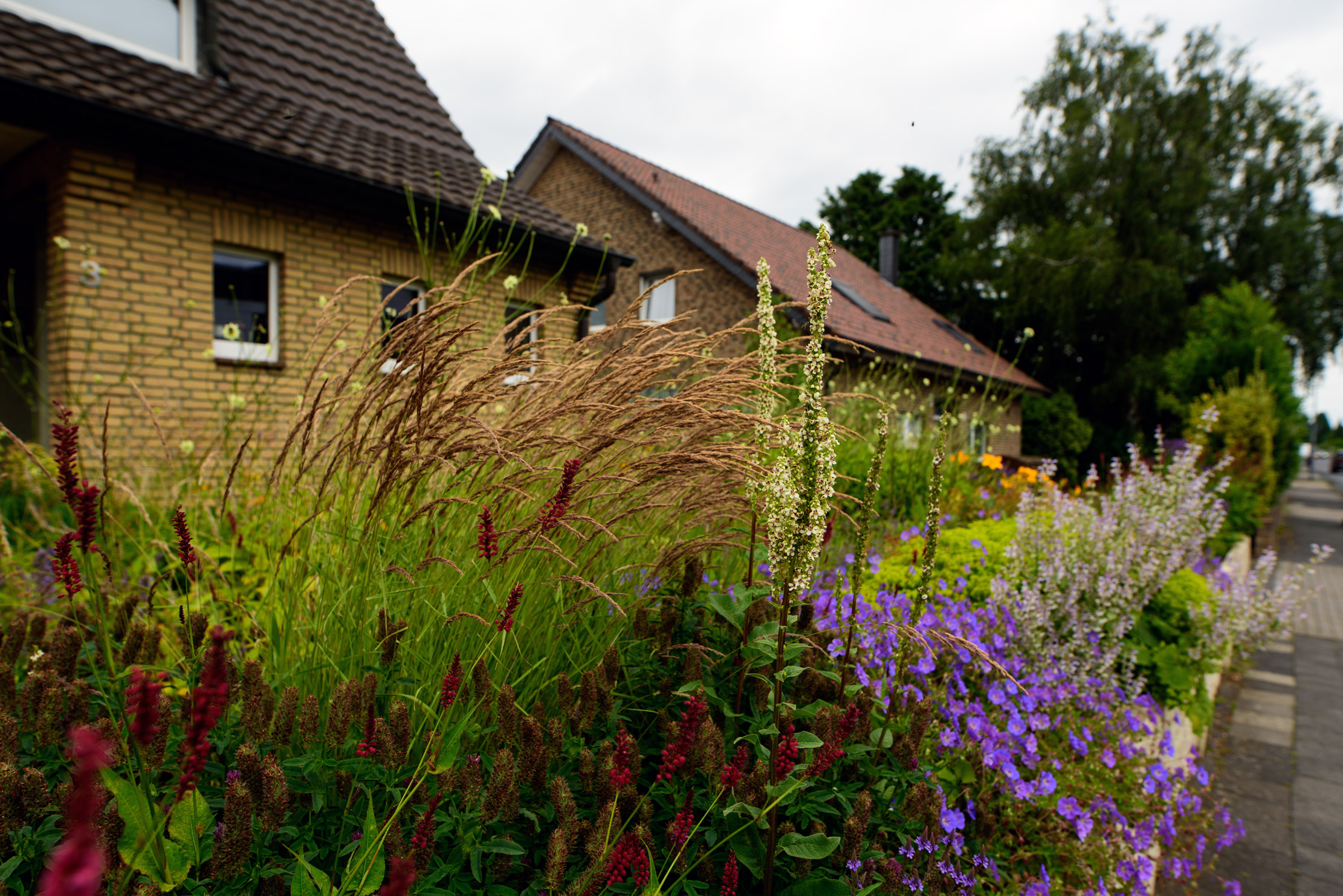Pflegearmes Staudenbeet in einem Vorgarten in Nettetal als Beispiel für durchdachte Gartenplanung mit geringem Pflegeaufwand