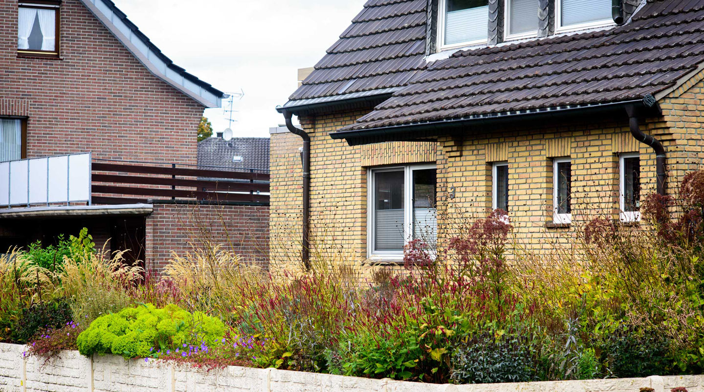 Neben einigen dominanten und standorttreuen Platzhirschen wie Hohem Wasserdost und Chinesischem Süßholz (Glycyrrhiza yunnanensis) sowie ausgeglichenen Arten wie Storchschnabel ‘Jolly Bee’ und Purpur-Klee sorgt eine Kombination aus Performern (Kerzenknöterich, Lanzen-Eisenkraut, Riesen-Schuppenkopf) und wüchsigen Spezialisten (Steppen-Wolfsmilch, Cistrose, Fackellilie) für eine hohe Anpassungsfähigkeit