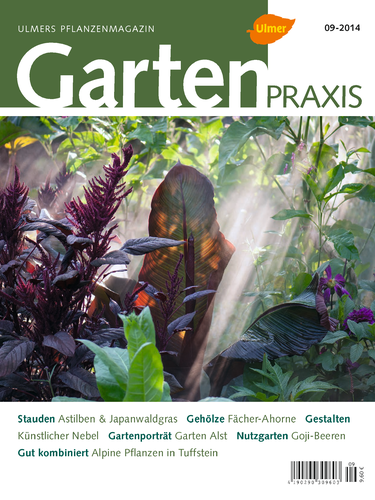 Gartenpraxis 9-2014