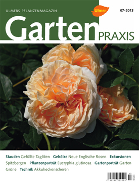 Gartenpraxis 7-2013