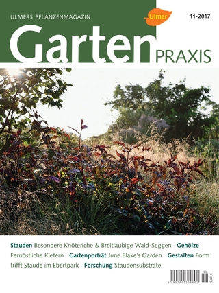 Gartenpraxis 11-2017