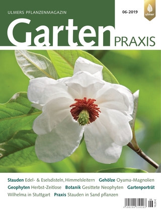 Gartenpraxis 11-2017