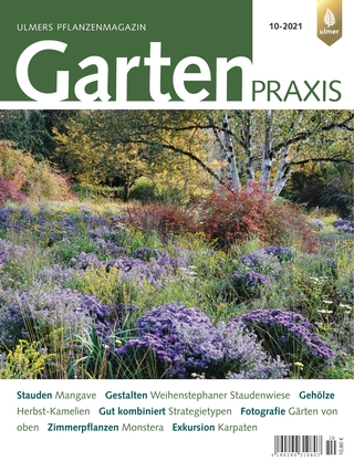 Gartenpraxis 11-2017